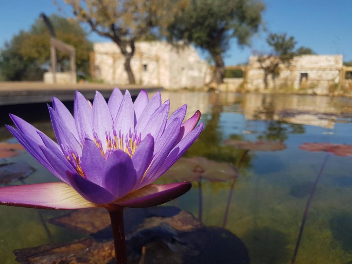 Il Fiore Della Vita Trulli Country House Conversano Exteriér fotografie