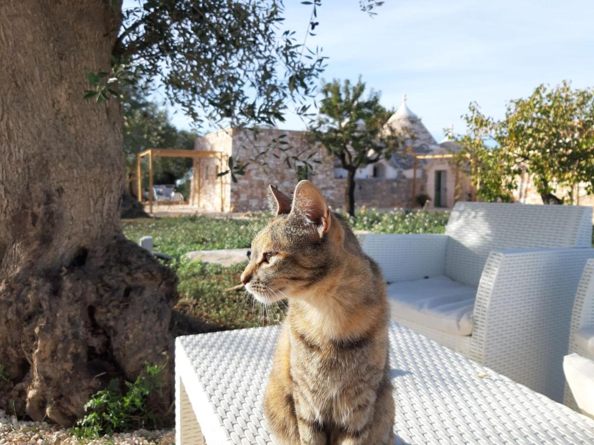 Il Fiore Della Vita Trulli Country House Conversano Exteriér fotografie