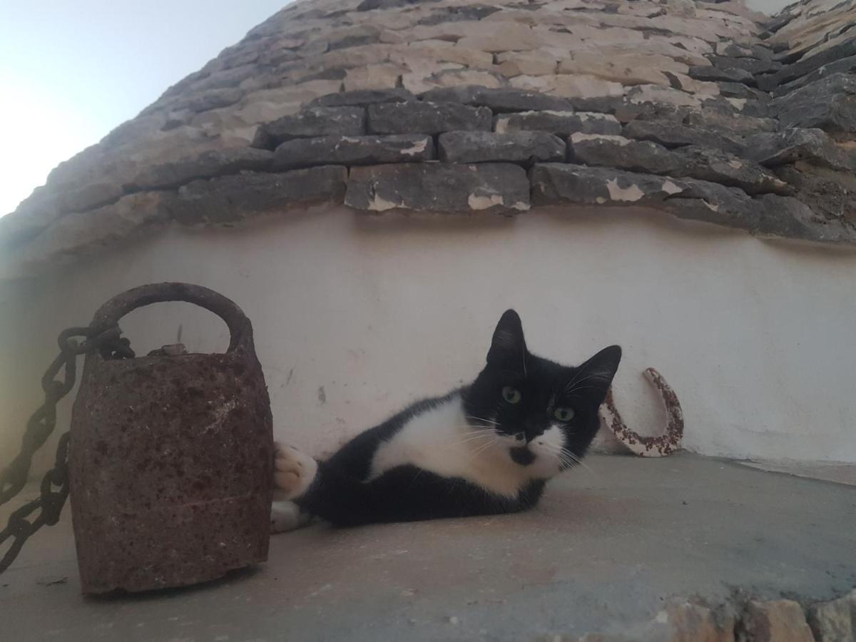 Il Fiore Della Vita Trulli Country House Conversano Exteriér fotografie