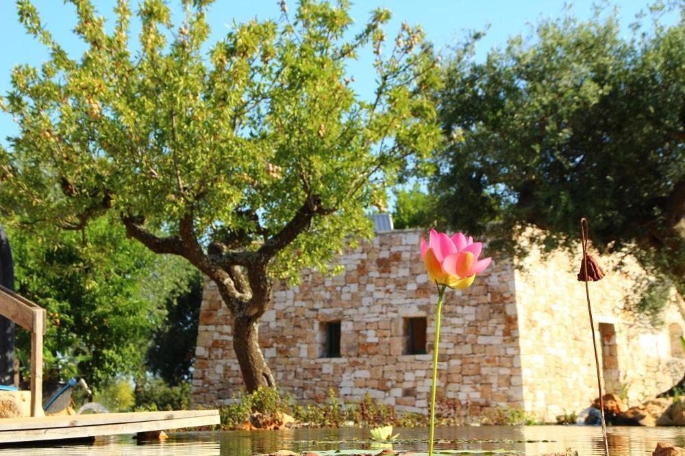 Il Fiore Della Vita Trulli Country House Conversano Exteriér fotografie
